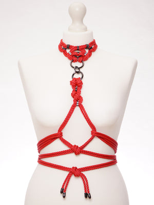 'MEGAMI' CHOKER WITH DETACHABLE SELF-TIE HARNESS *RED
